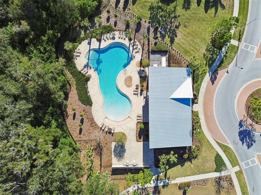 6065 Spring Crayfish Avenue New Port Richey, FL 34653 - Photo 57 of 61