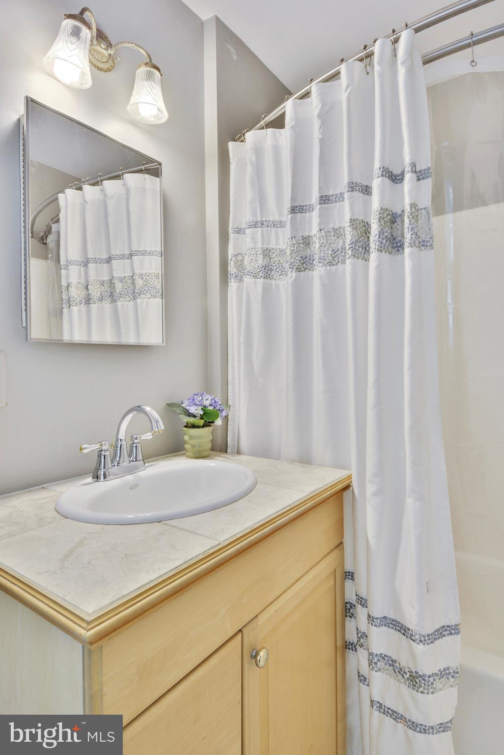 8303 Magic Leaf Road Springfield, VA 22153 - Photo 14 of 30 Master Bathroom with Updated Cabinets/Lighting