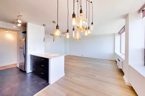 $285,000 | 1355 North Sandburg Terrace, Unit 2904, Chicago, IL 60610