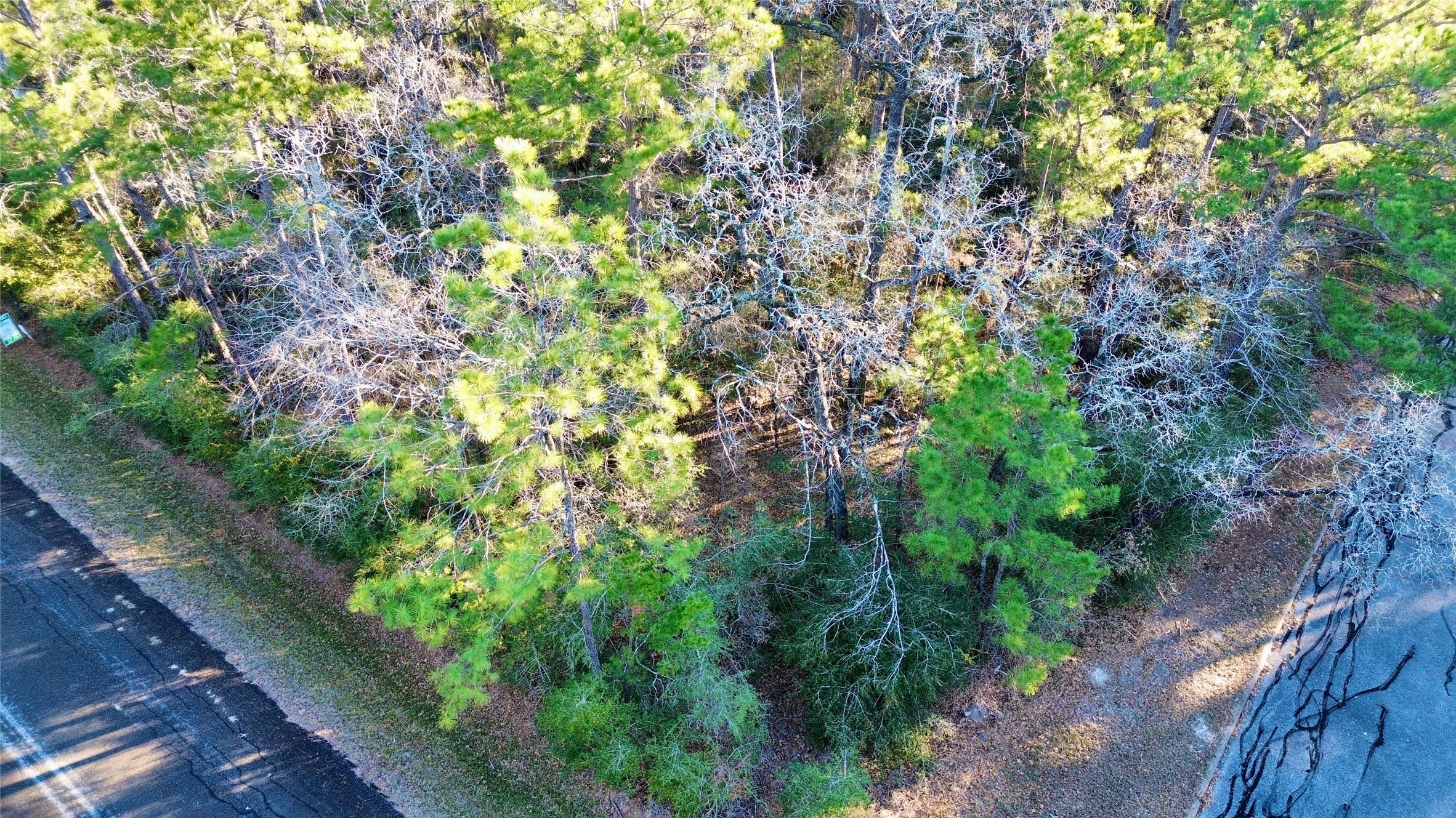 a backyard of a house with lots of trees