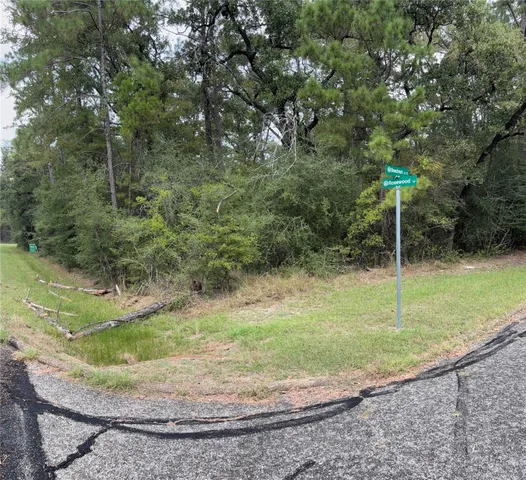 $11,000 | Tbd East Beechnut Court, Oakhurst, TX 77359