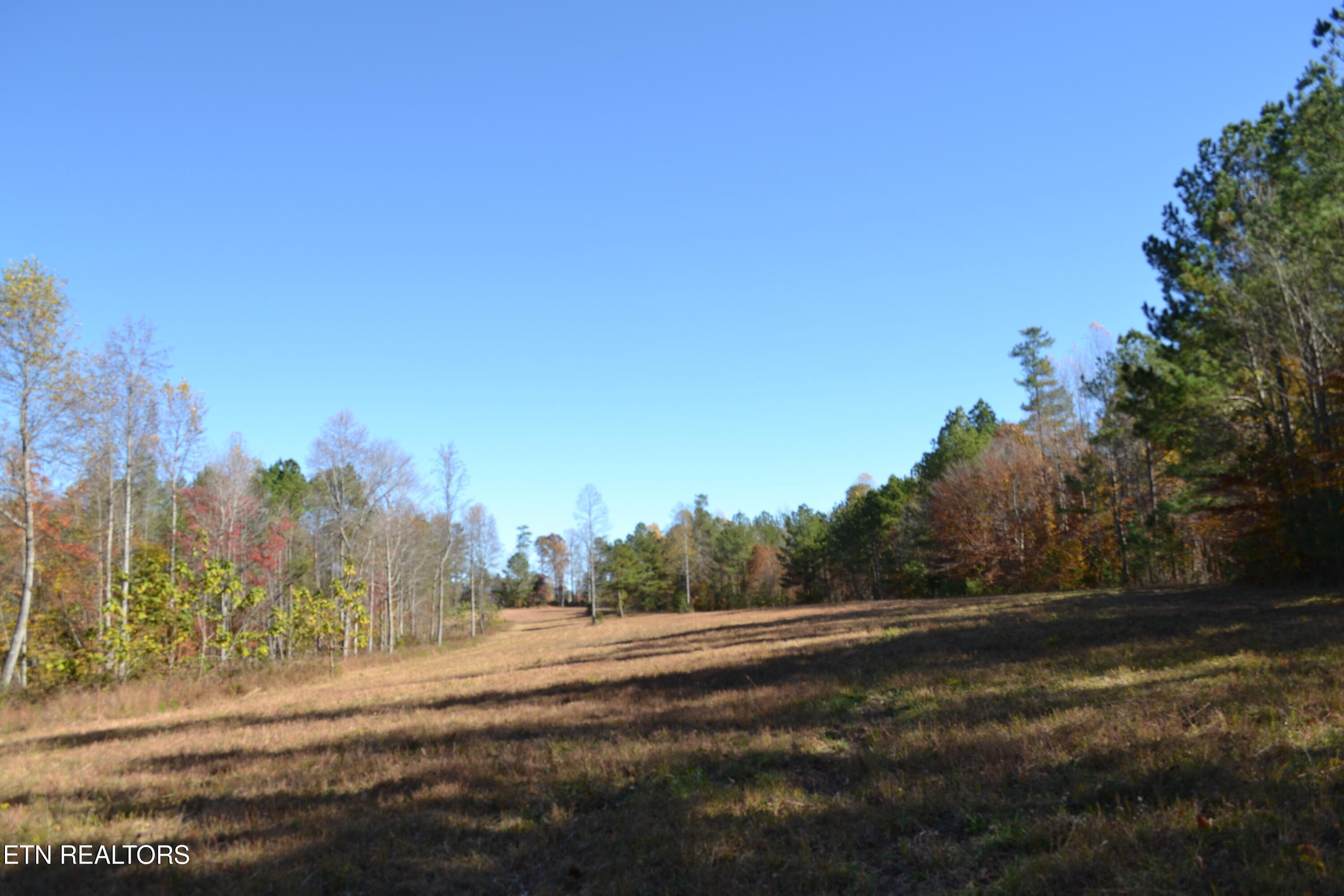 28.30-ac Whitson Hollow Road Red Boiling Springs, TN 37150 - Photo 12 of 50 DSC_0110