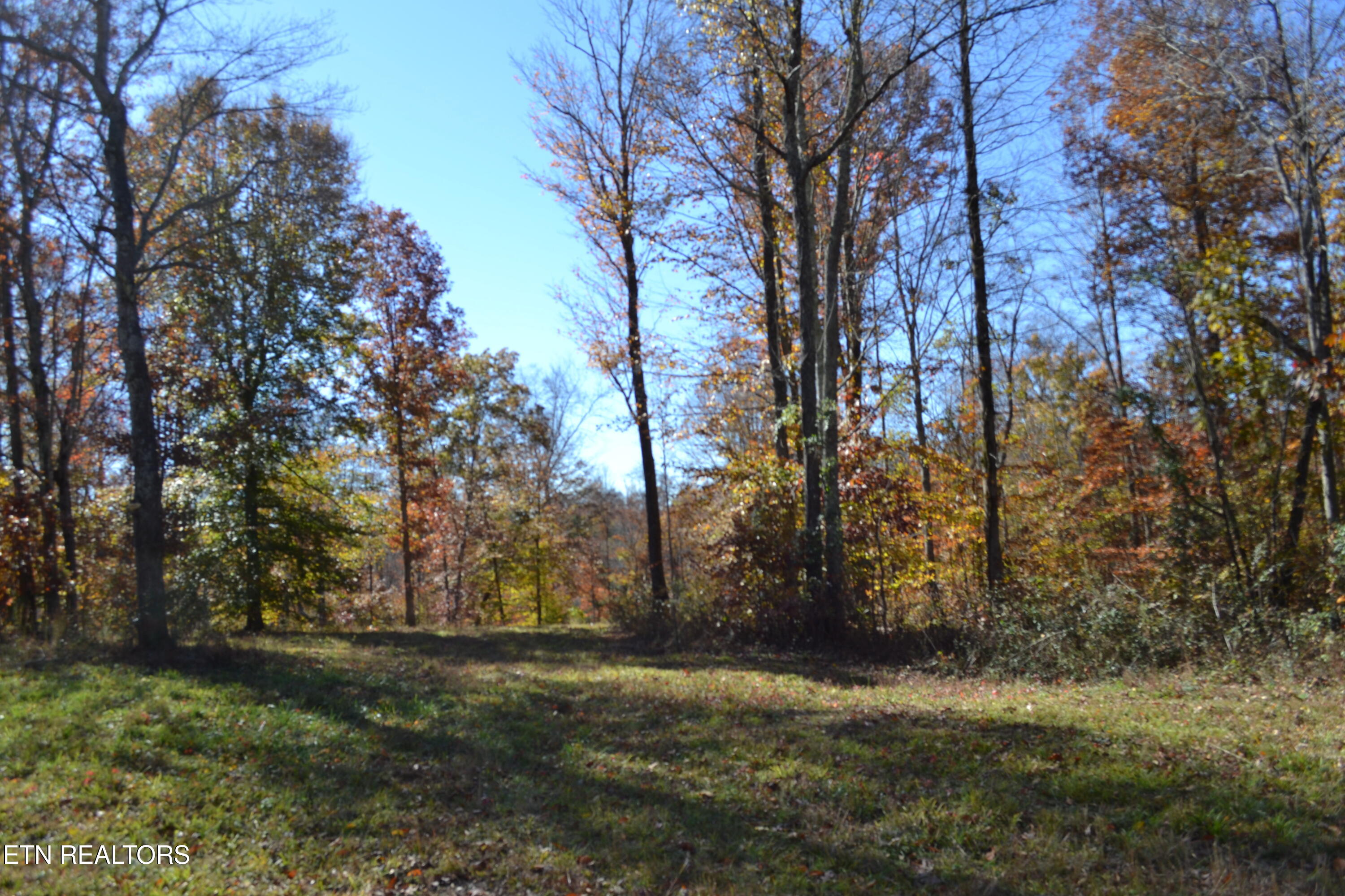 28.30-ac Whitson Hollow Road Red Boiling Springs, TN 37150 - Photo 15 of 50 DSC_0113
