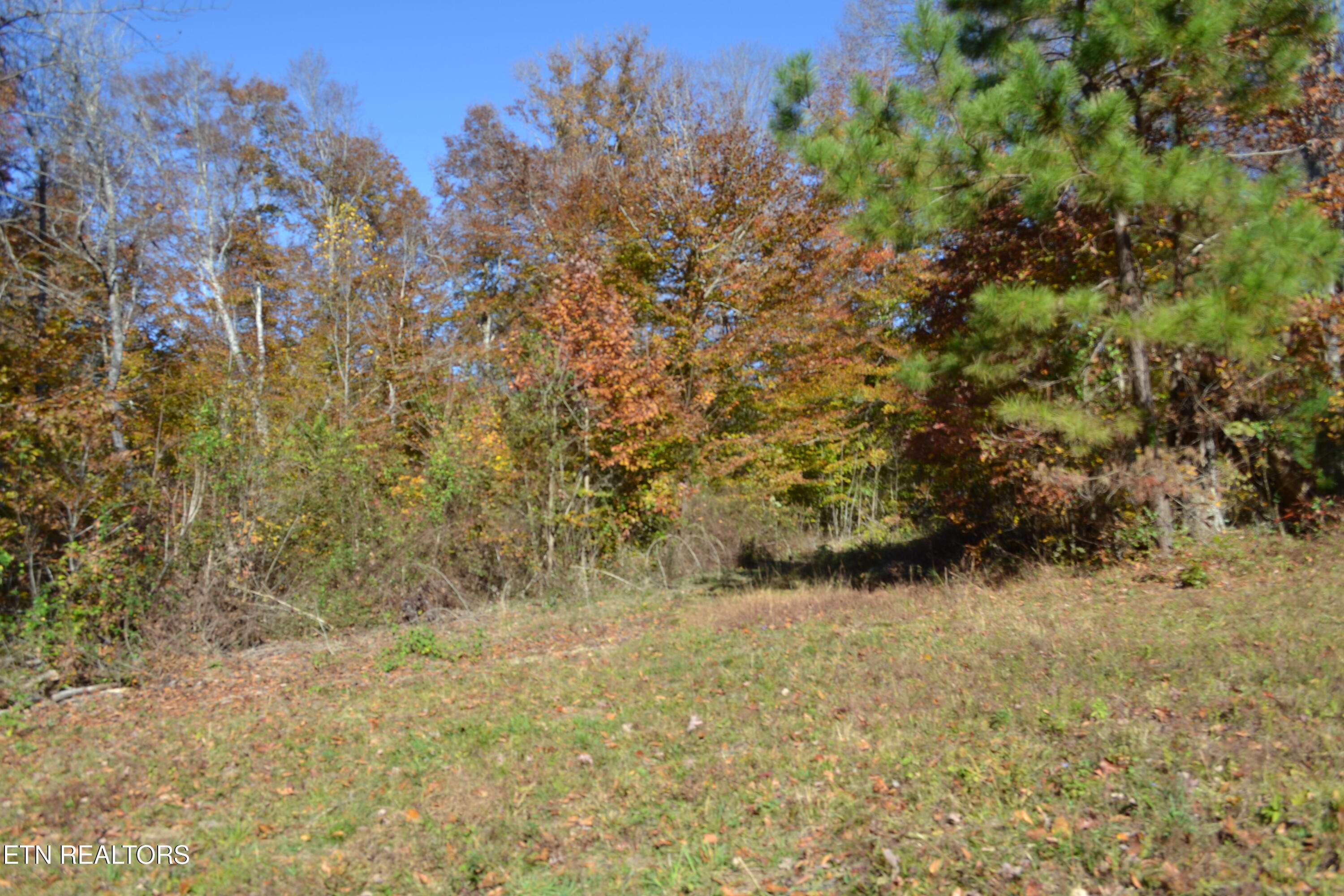 28.30-ac Whitson Hollow Road Red Boiling Springs, TN 37150 - Photo 21 of 50 DSC_0121