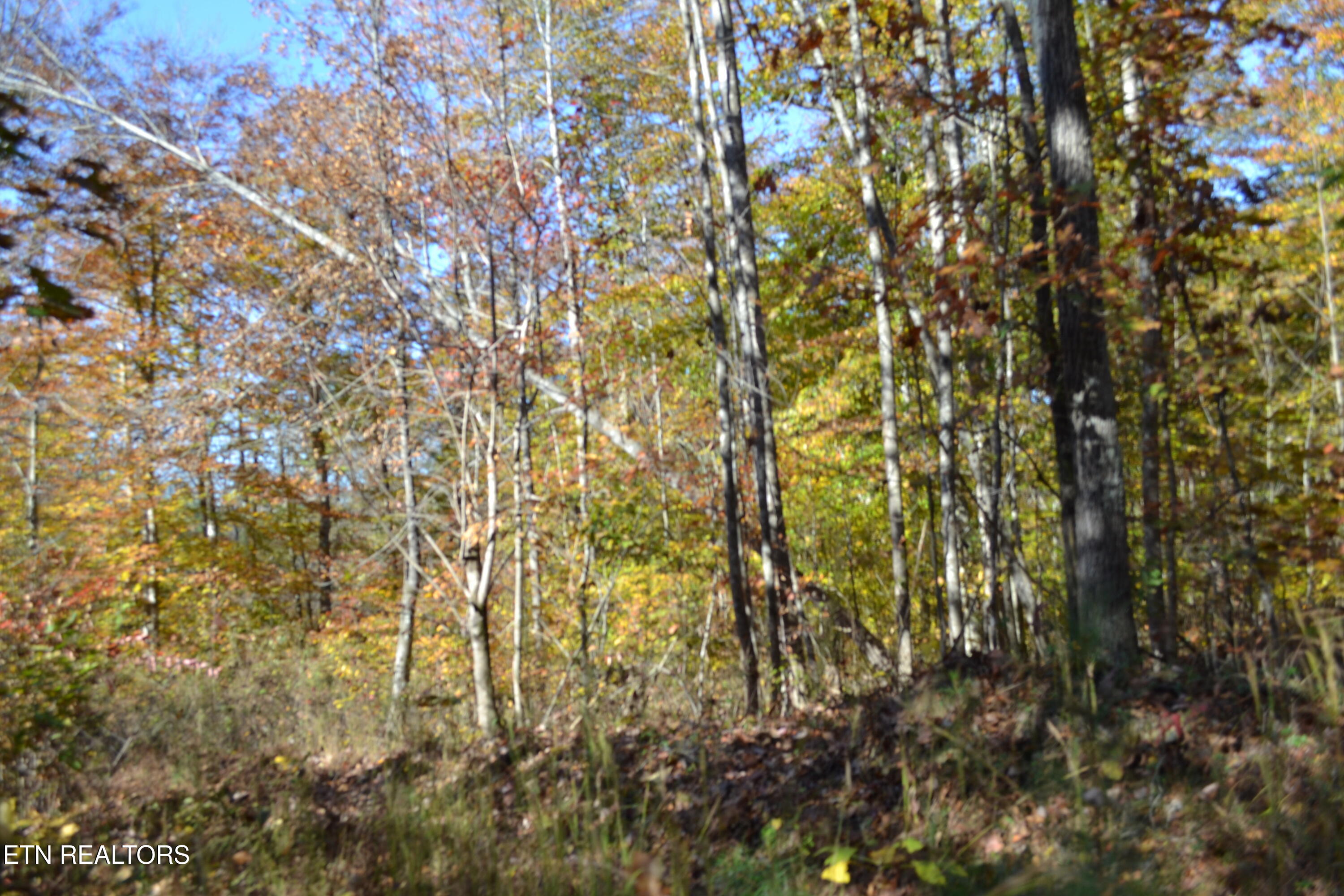 28.30-ac Whitson Hollow Road Red Boiling Springs, TN 37150 - Photo 24 of 50 DSC_0125