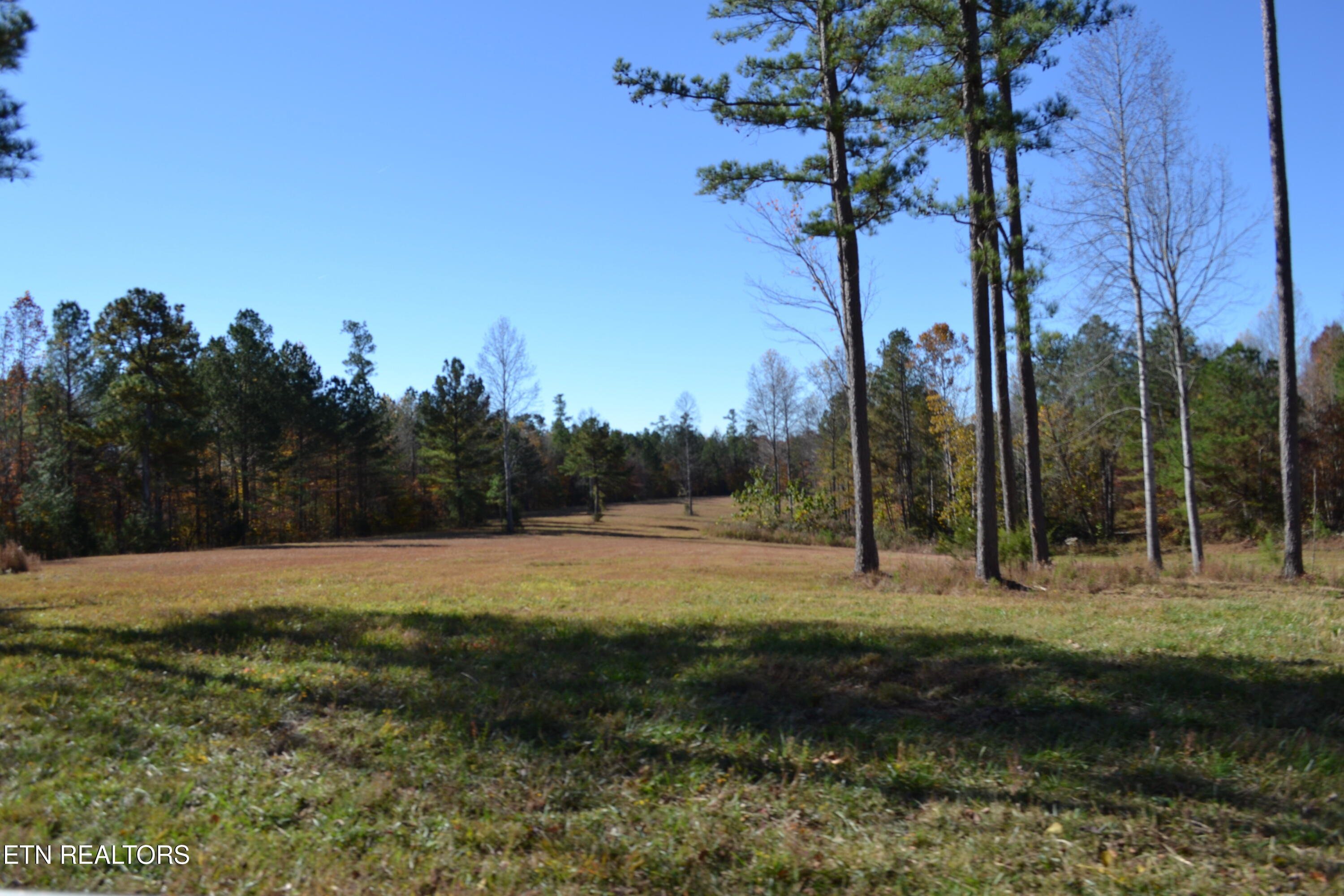 28.30-ac Whitson Hollow Road Red Boiling Springs, TN 37150 - Photo 3 of 50 DSC_0093