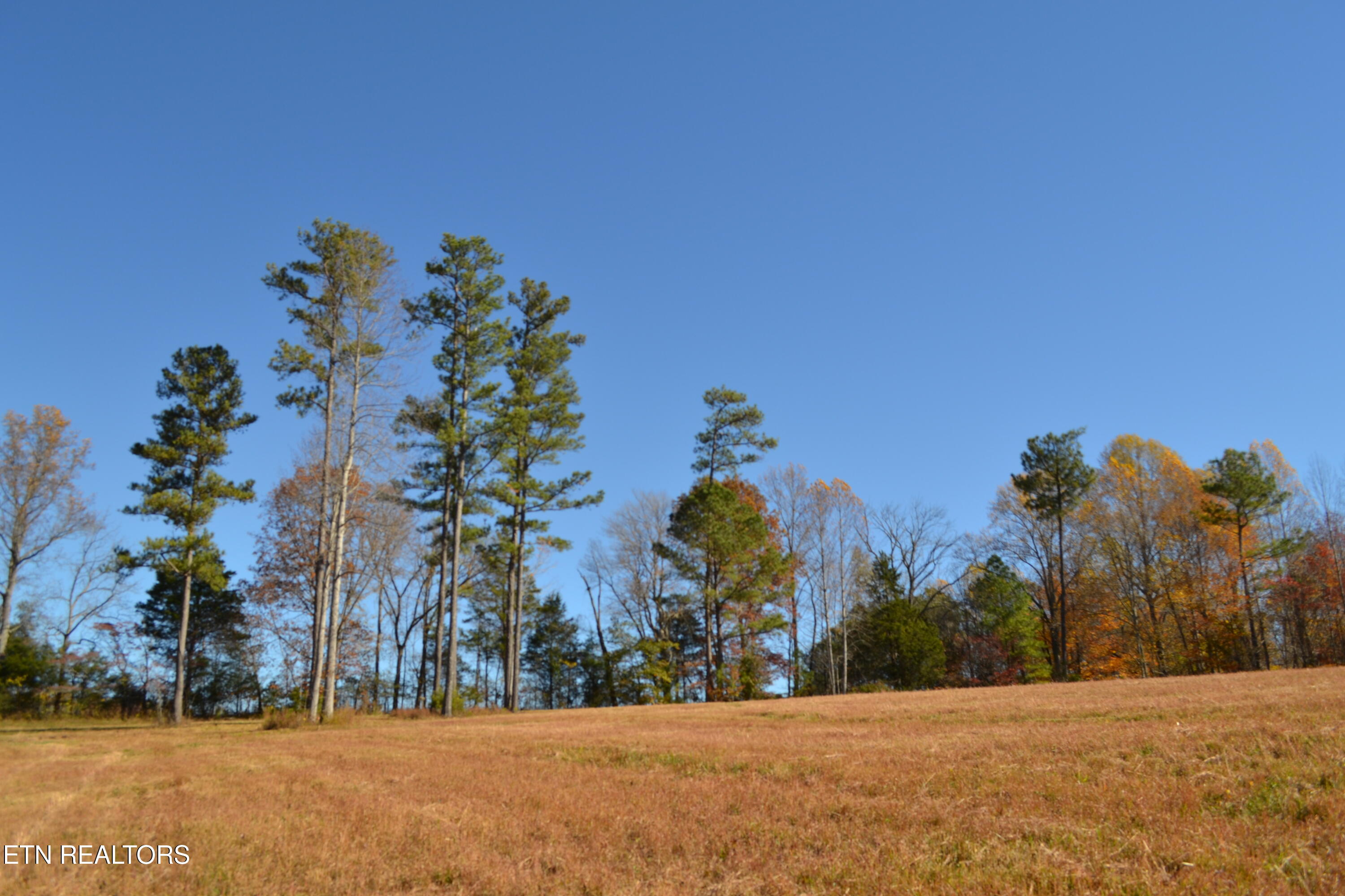 28.30-ac Whitson Hollow Road Red Boiling Springs, TN 37150 - Photo 41 of 50 DSC_0146