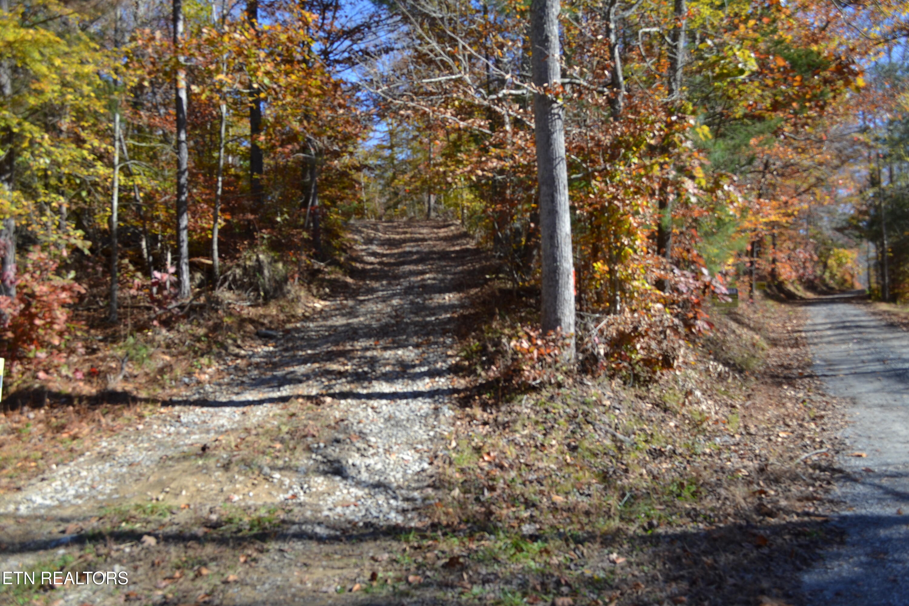 28.30-ac Whitson Hollow Road Red Boiling Springs, TN 37150 - Photo 42 of 50 DSC_0075