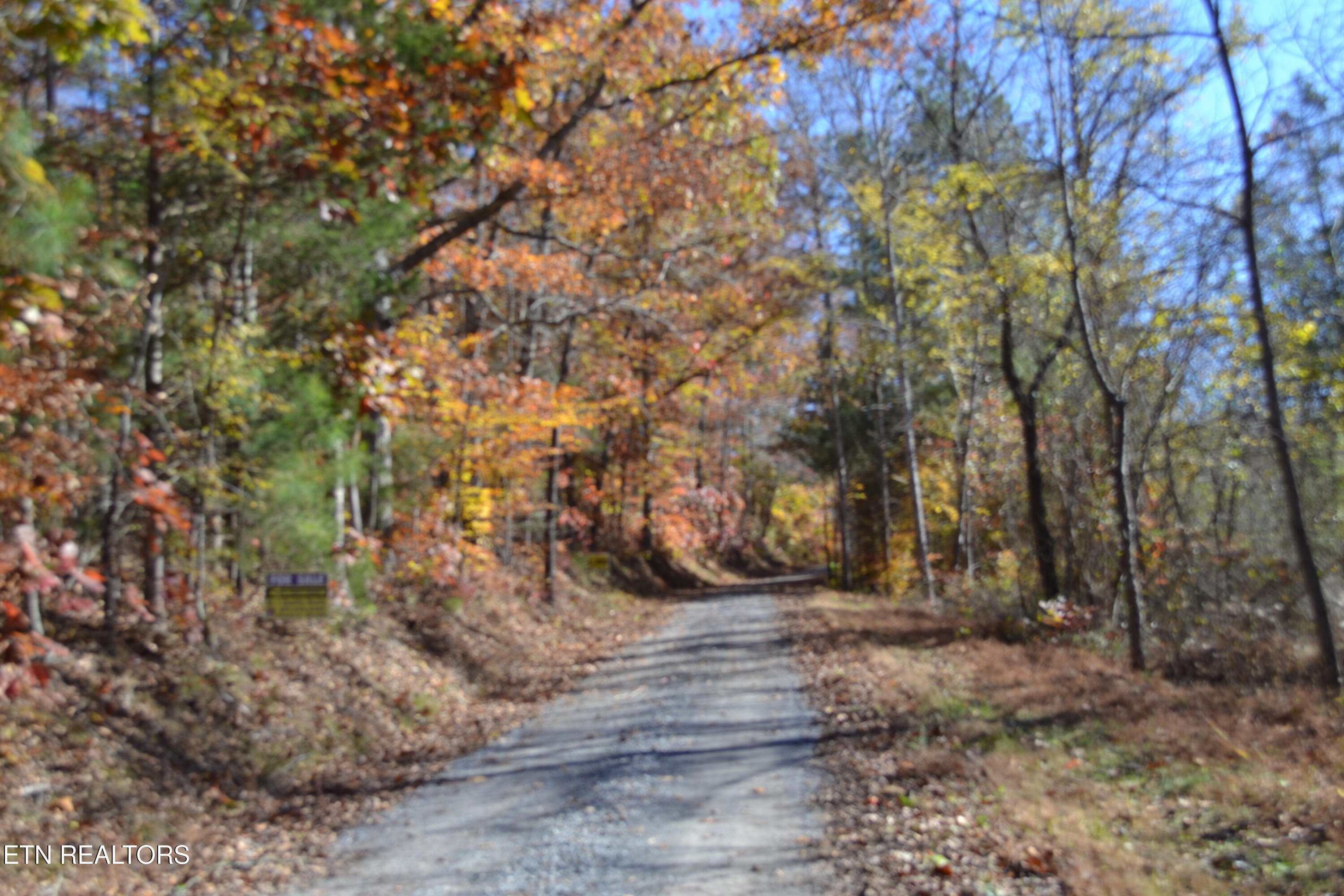 28.30-ac Whitson Hollow Road Red Boiling Springs, TN 37150 - Photo 45 of 50 DSC_0083