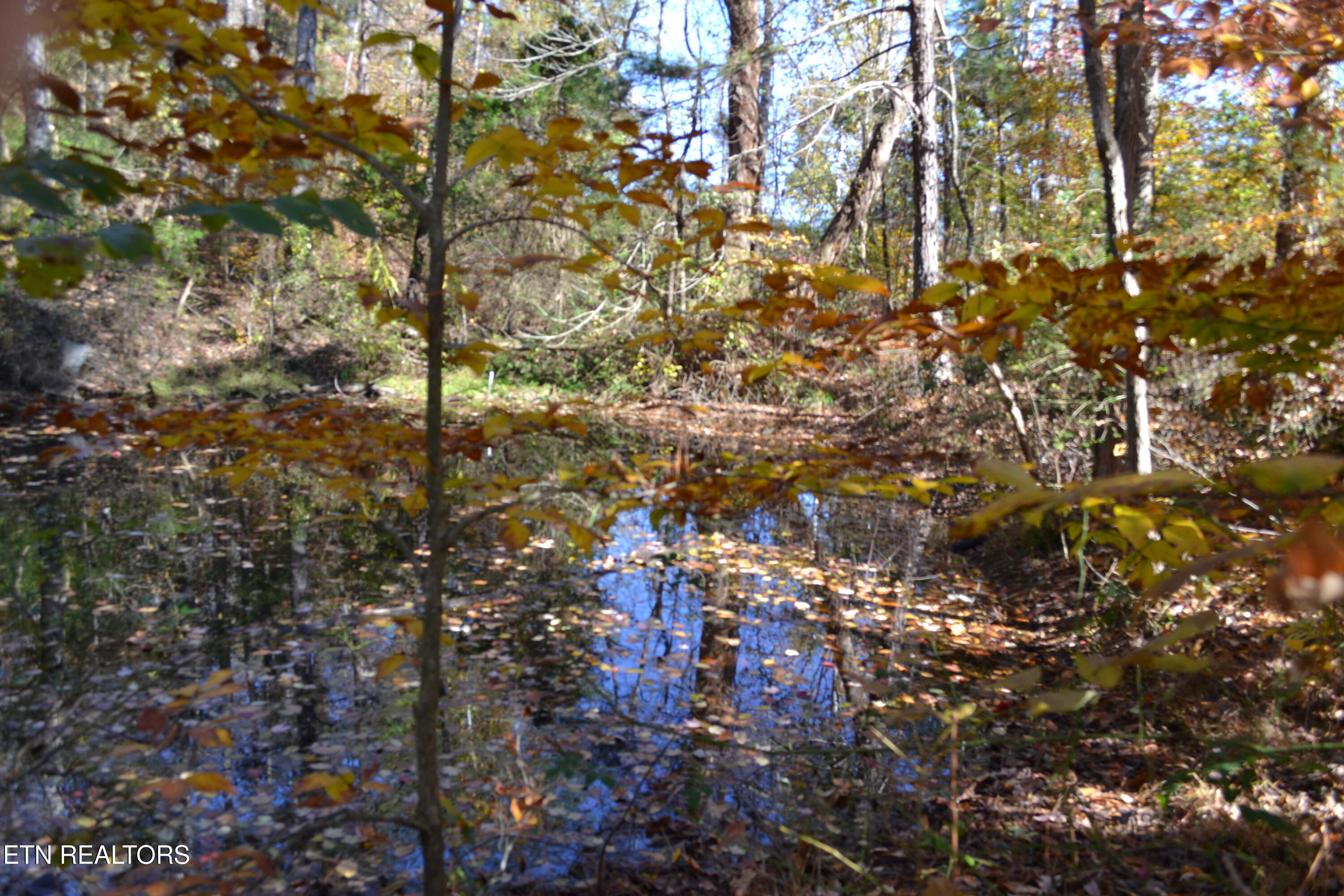 28.30-ac Whitson Hollow Road Red Boiling Springs, TN 37150 - Photo 5 of 50 DSC_0101