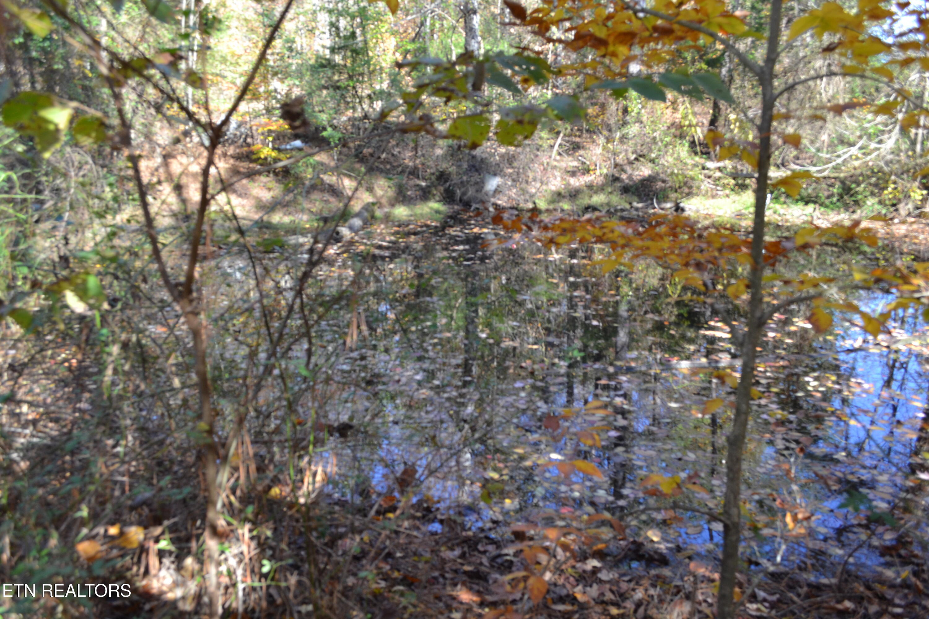 28.30-ac Whitson Hollow Road Red Boiling Springs, TN 37150 - Photo 6 of 50 DSC_0102
