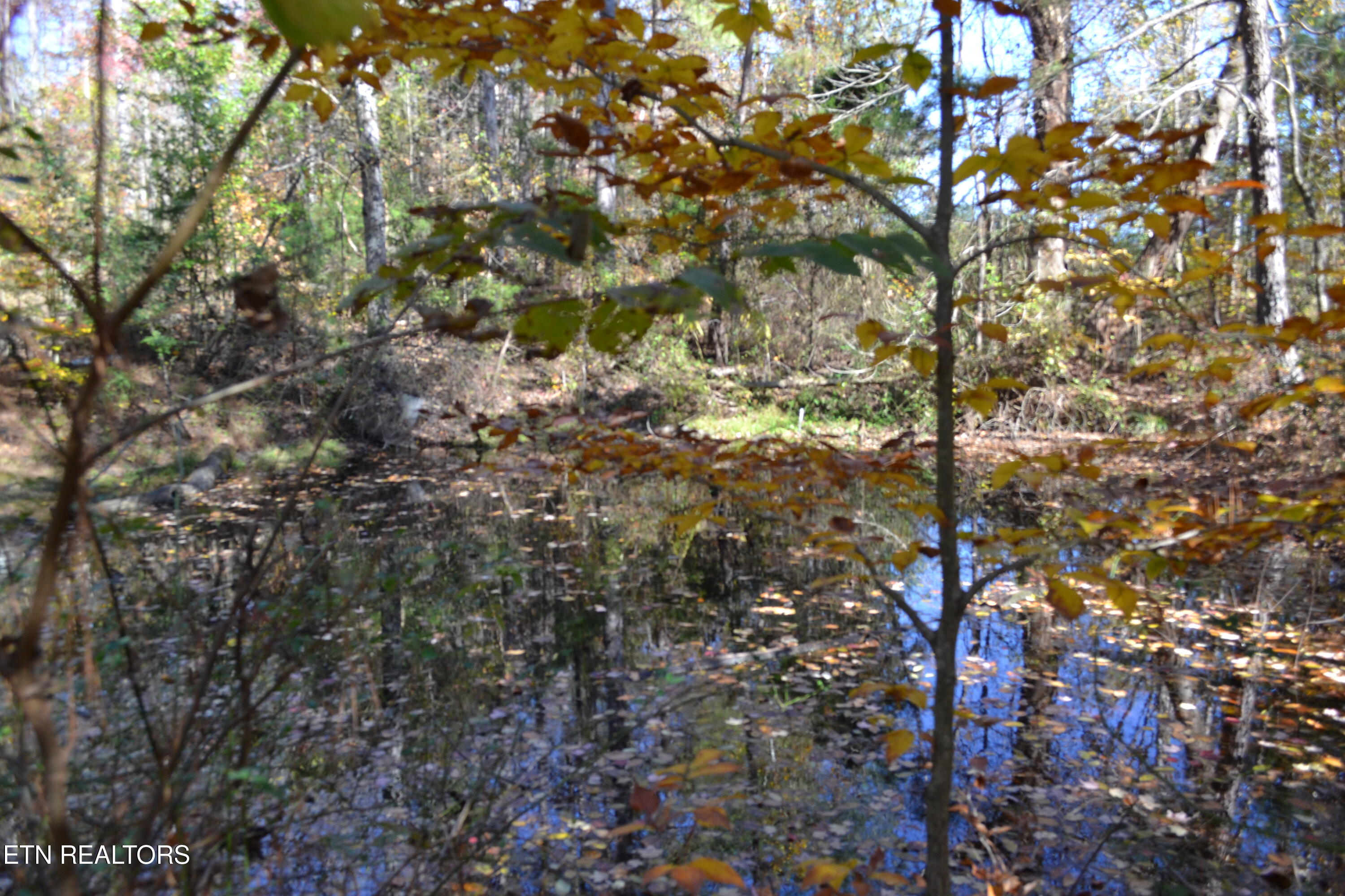 28.30-ac Whitson Hollow Road Red Boiling Springs, TN 37150 - Photo 8 of 50 DSC_0104
