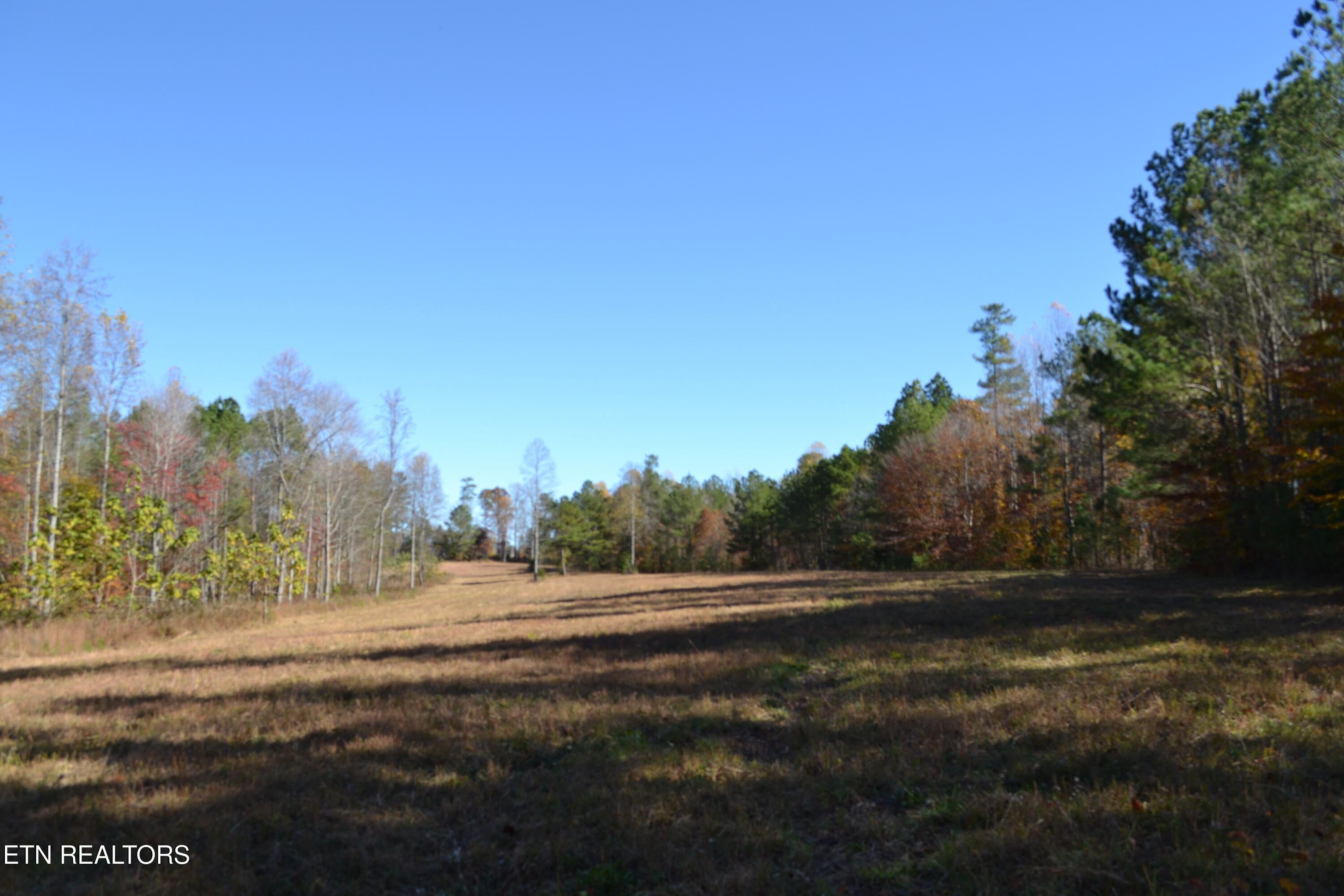 28.30-ac Whitson Hollow Road Red Boiling Springs, TN 37150 - Photo 10 of 50 DSC_0106