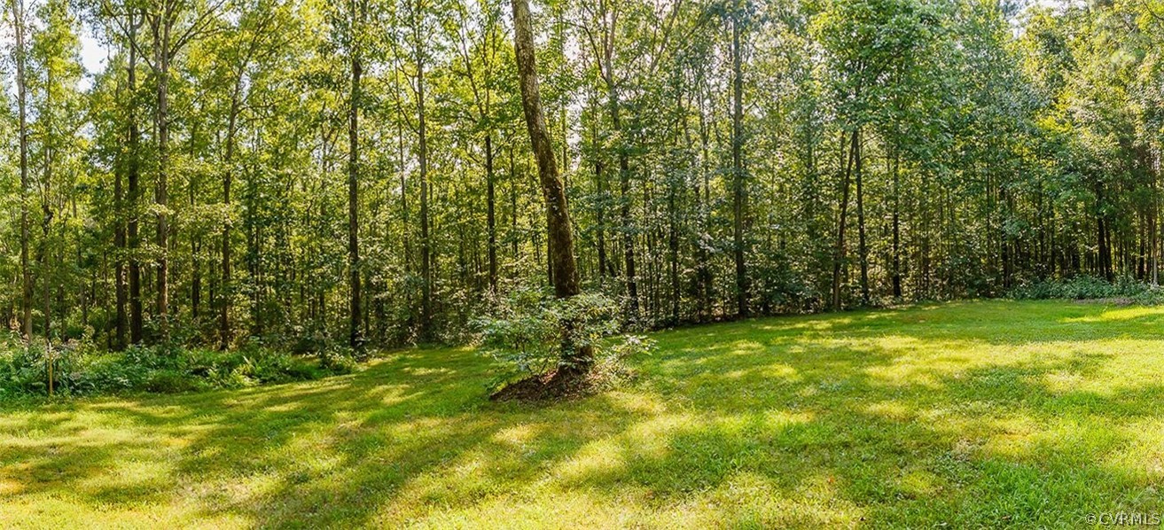 16045 Old Ridge Road Montpelier, VA 23192 - Photo 42 of 45 a view of yard with green space