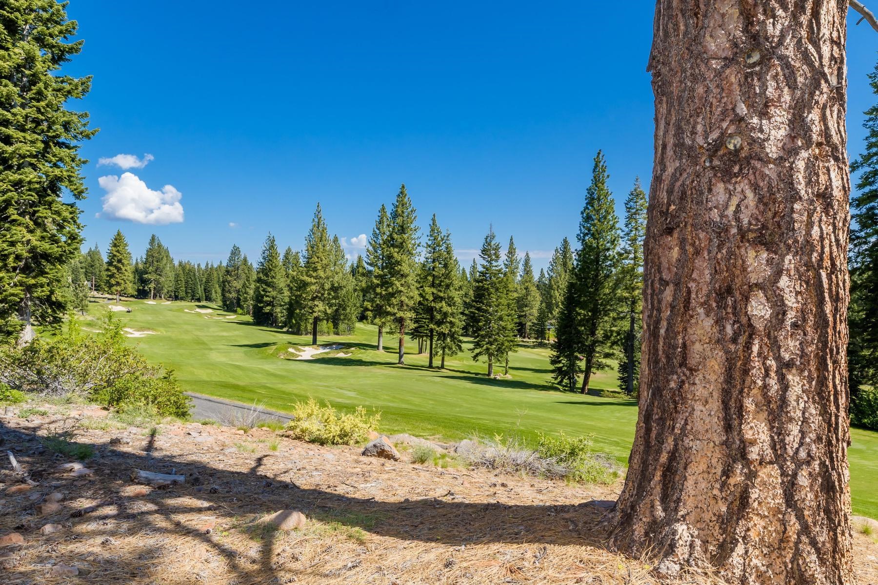 9279 Brae Road Truckee, CA 96161 - Photo 4 of 21 a view of a golf course with a tree