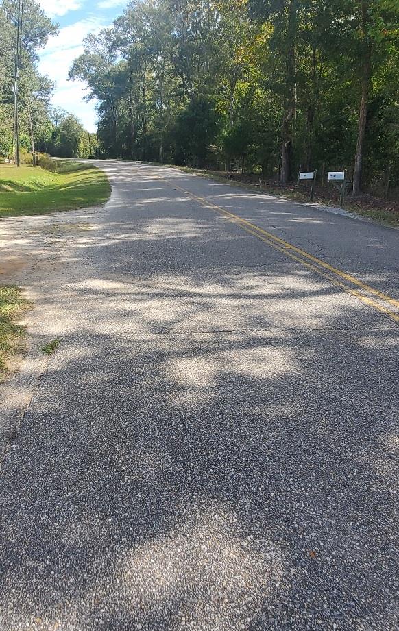 0 Sowell Road Dothan, AL 36301 - Photo 12 of 13