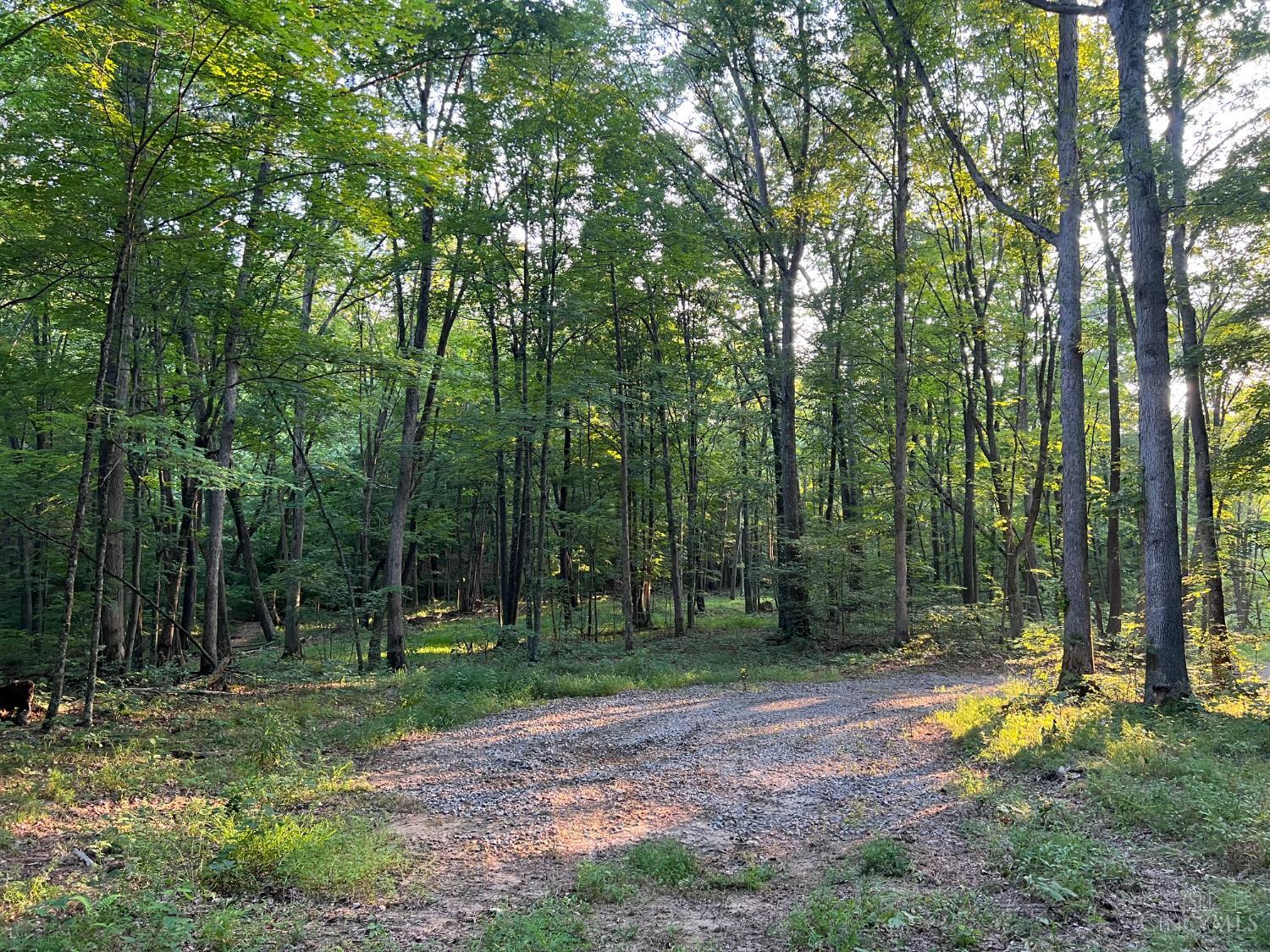 0 Tabernacle Road Chillicothe, OH 45601 - Photo 63 of 64