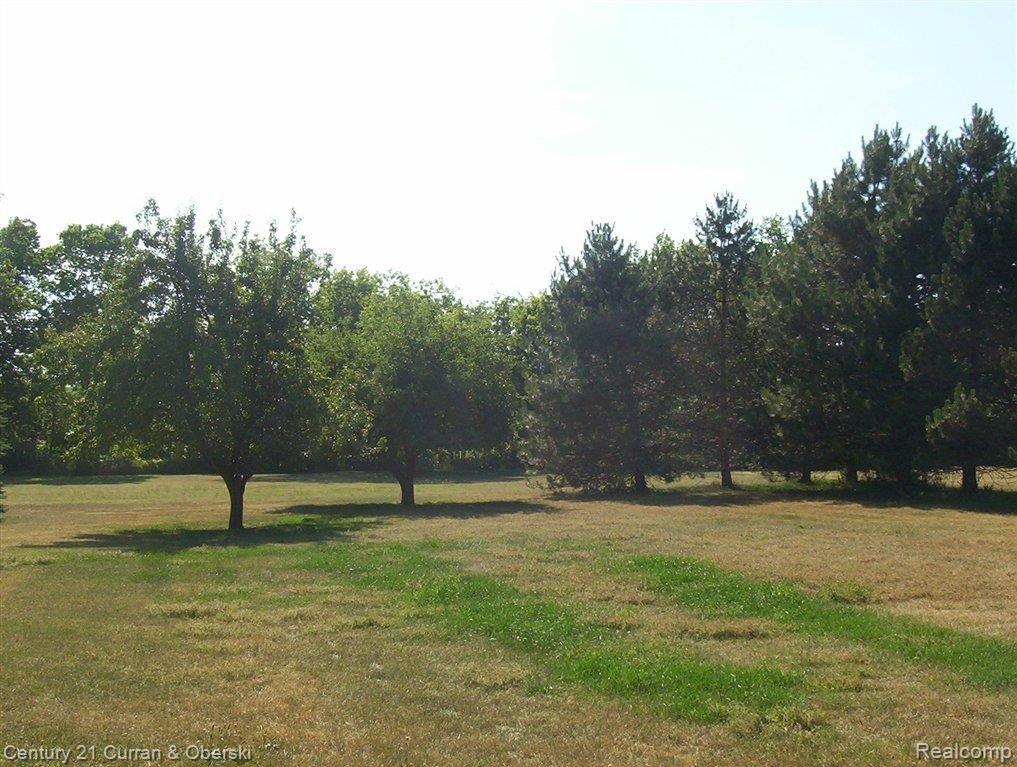 North Rear of Property