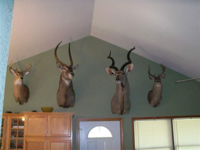 8454 East Hatchery Road Syracuse, IN 46567 - Photo 19 of 21 Gallery Image 19