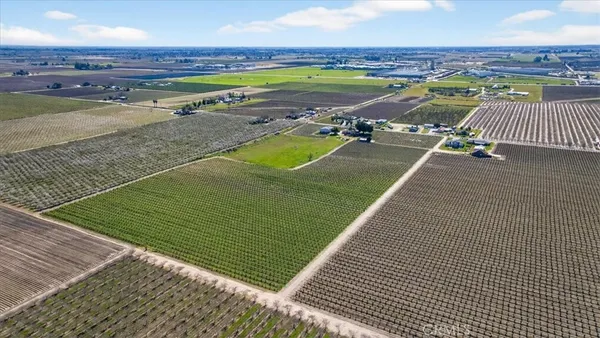 a view of a house with backyard and a tree