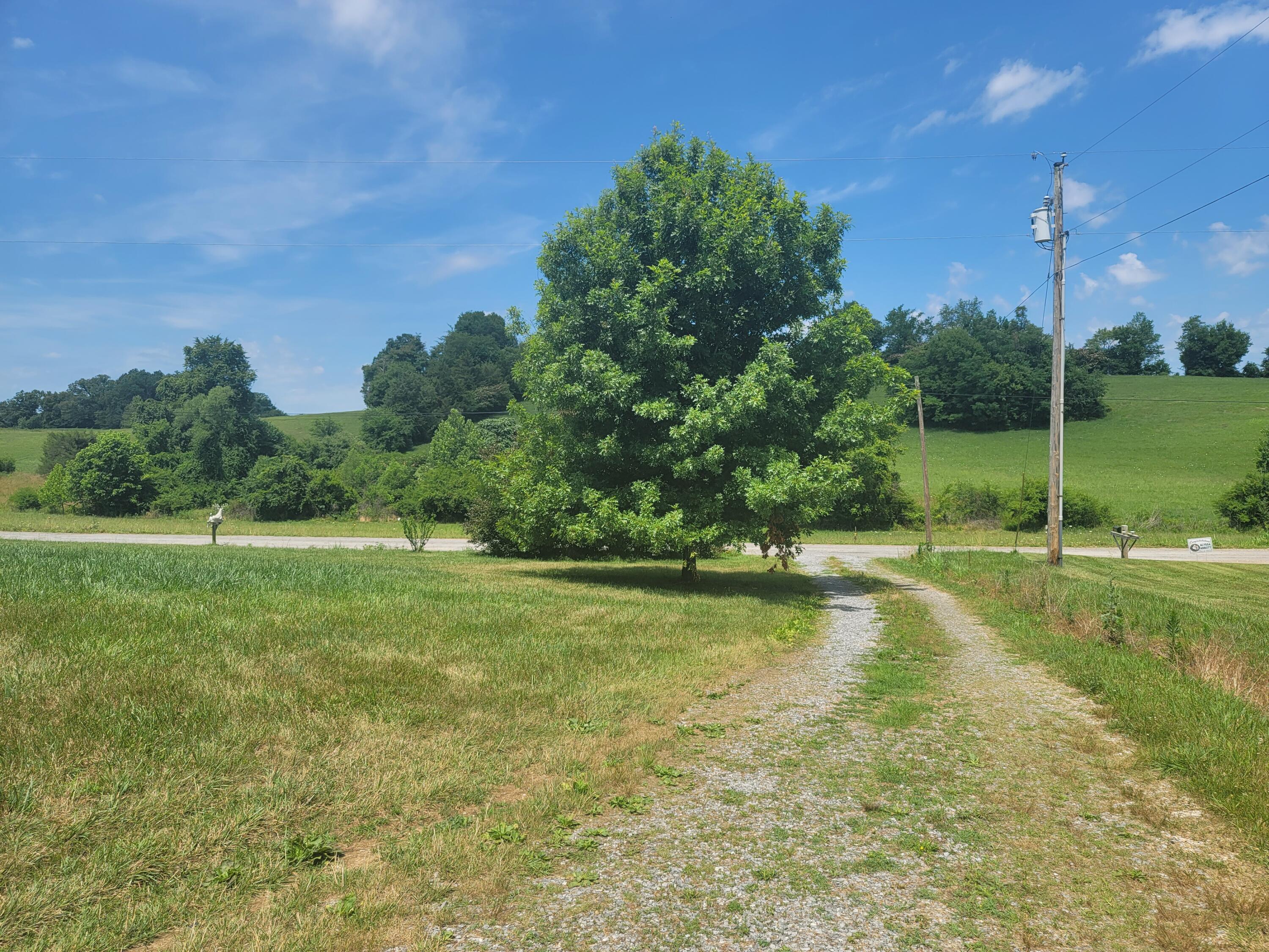 1095 Foxford Road Greeneville, TN 37743 - Photo 4 of 23 004
