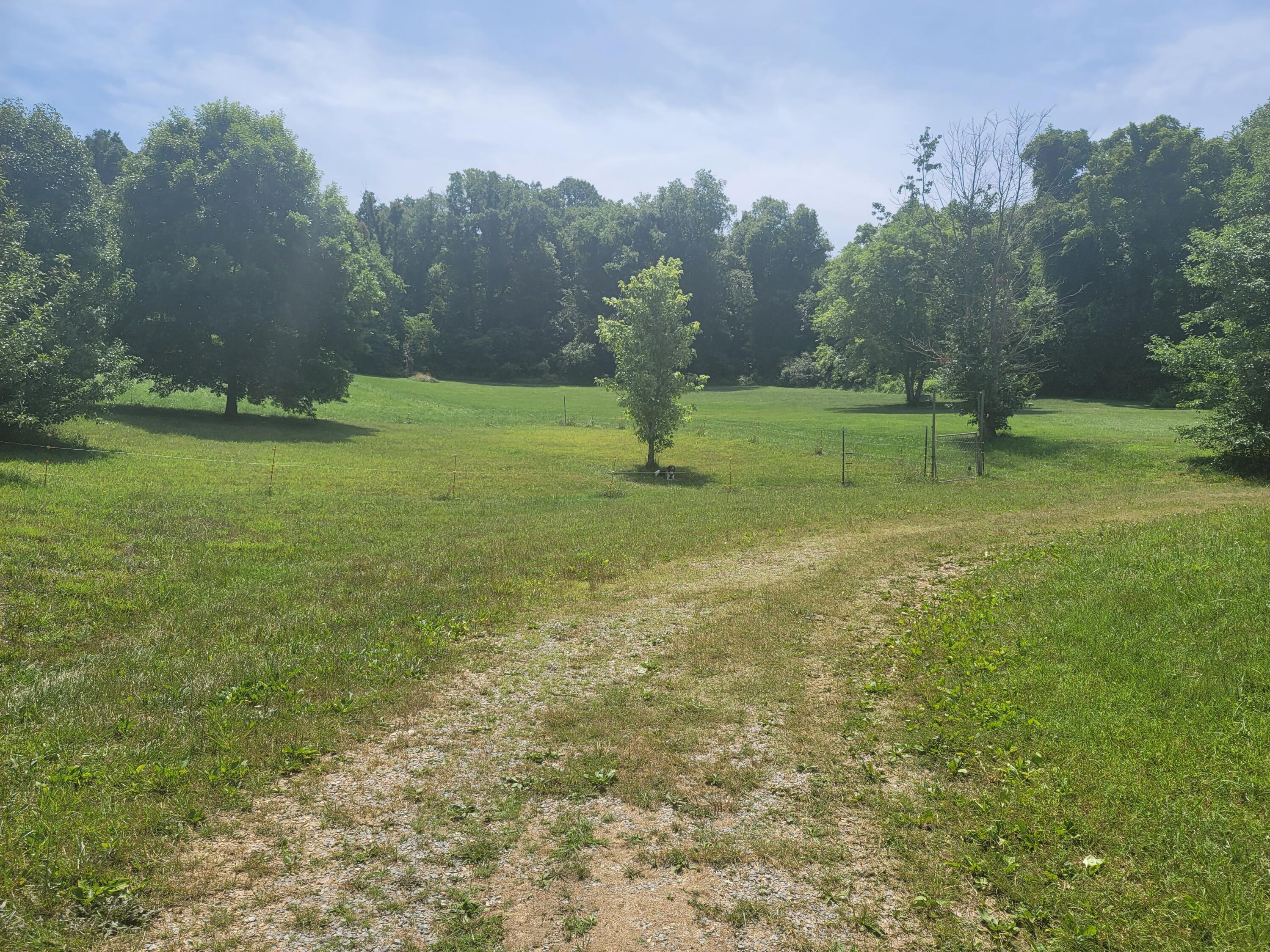 1095 Foxford Road Greeneville, TN 37743 - Photo 5 of 23 005