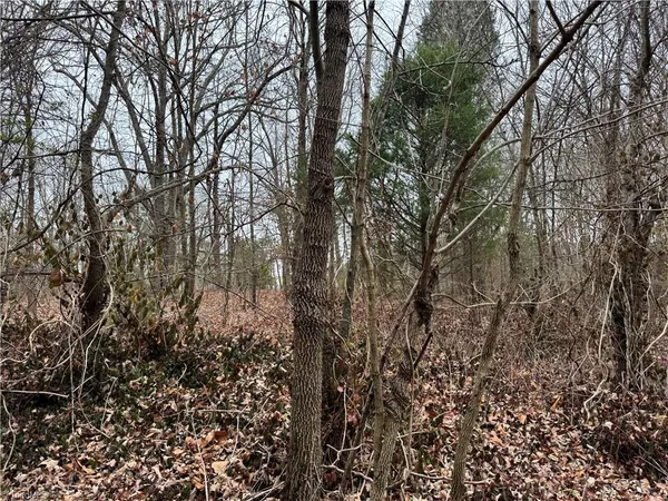 $49,000 | 0 Trading Ford Way, Linwood, NC 27299