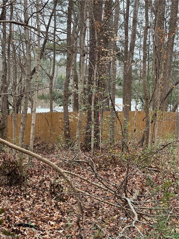 0 Trading Ford Way Linwood, NC 27299 - Photo 4 of 10