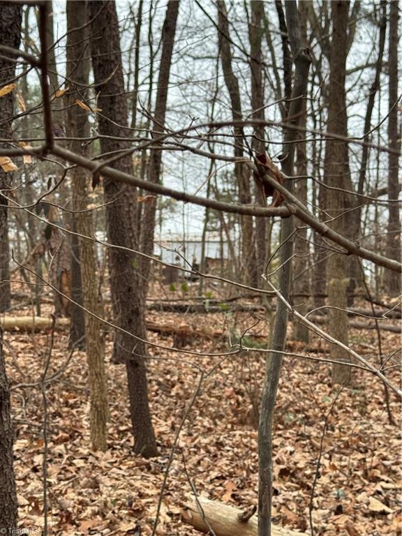 0 Trading Ford Way Linwood, NC 27299 - Photo 6 of 10