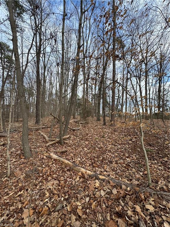 0 Trading Ford Way Linwood, NC 27299 - Photo 7 of 10