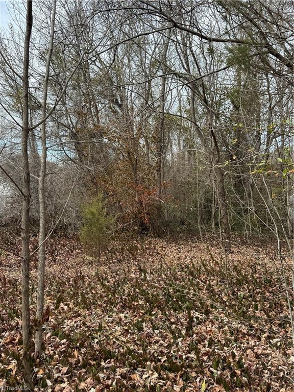 0 Trading Ford Way Linwood, NC 27299 - Photo 9 of 10