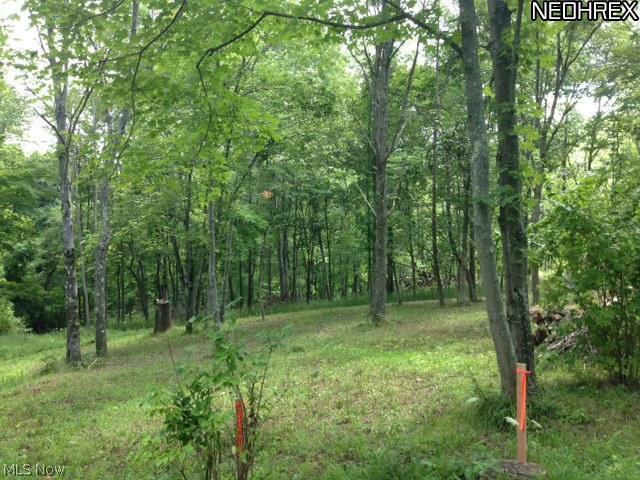 56369 Pfeffer Road Quaker City, OH 43773 - Photo 1 of 3 Gallery Image 1