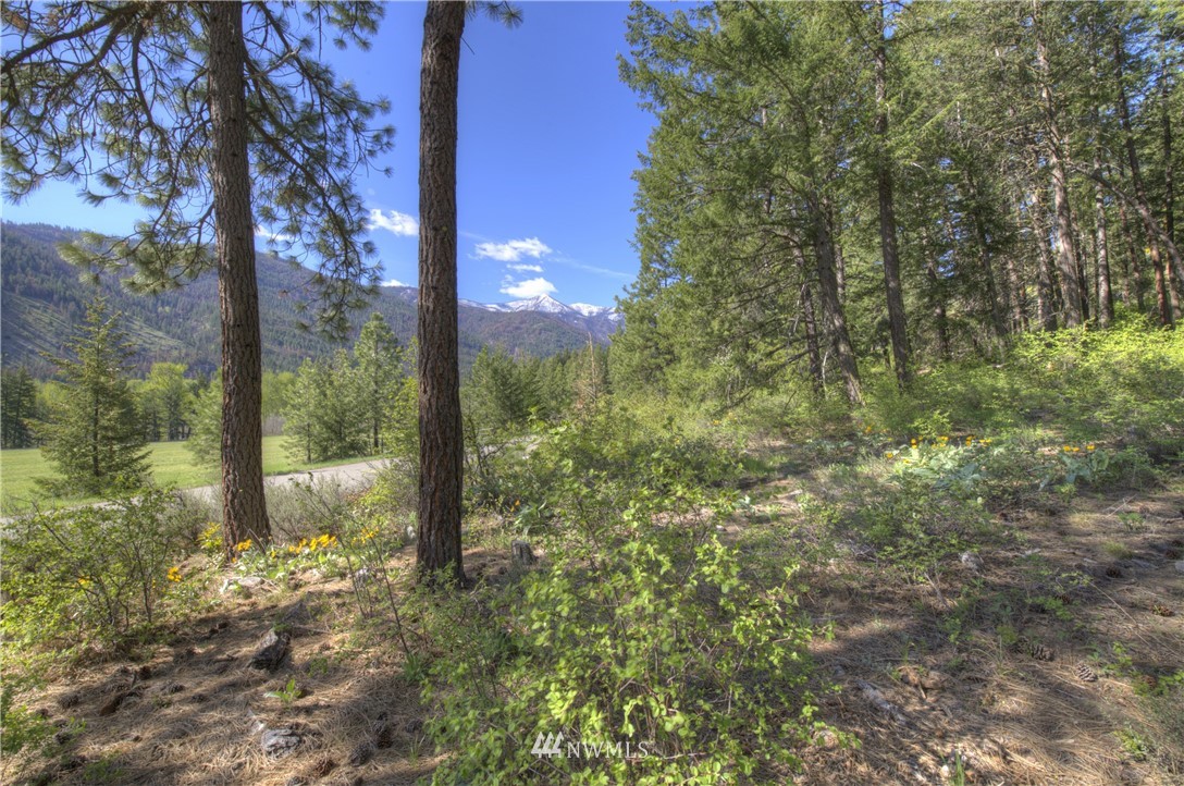 1110 Twisp River Road Twisp, WA 98856 - Photo 22 of 24 Gallery Image 22