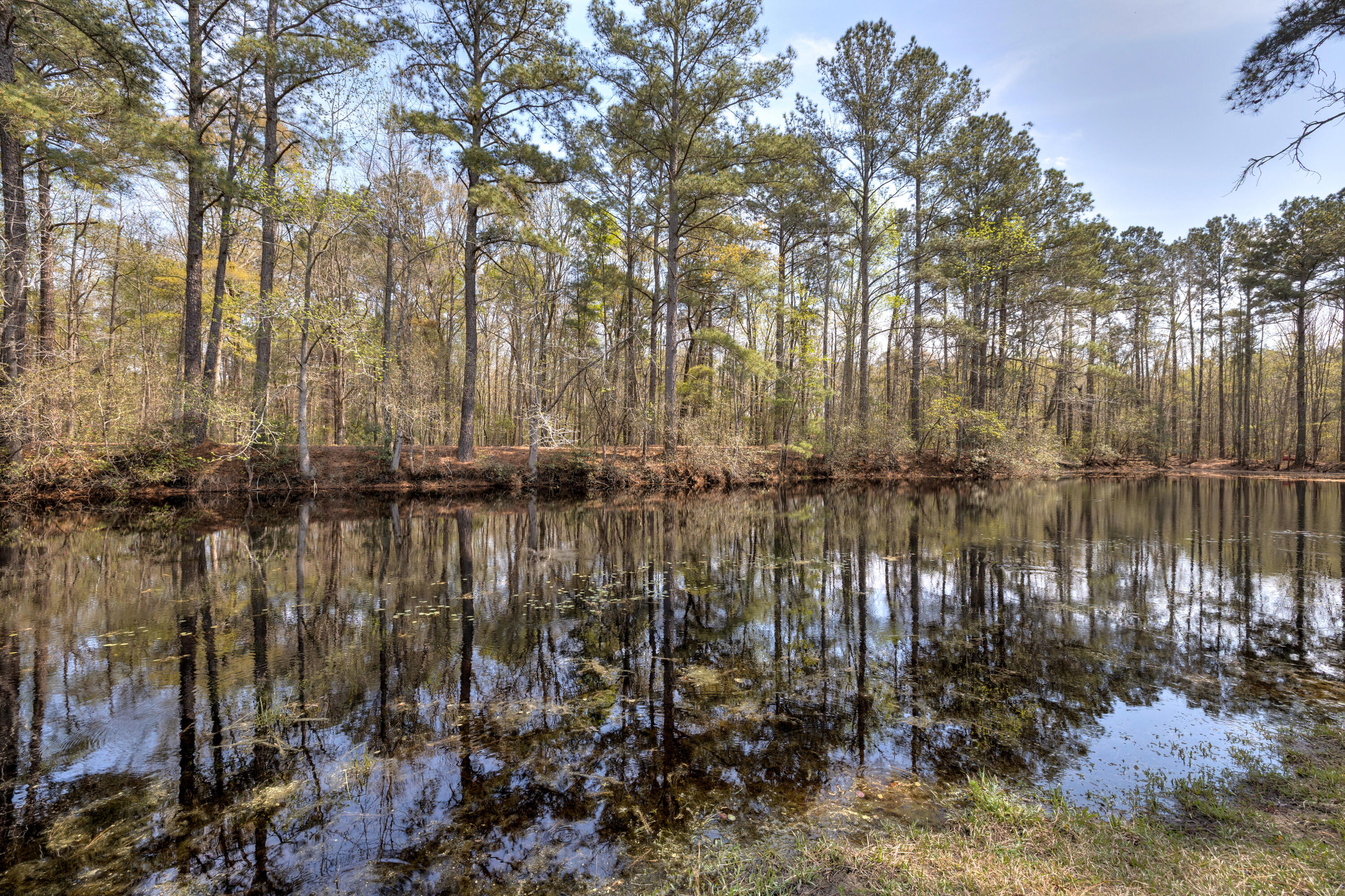 2341 Old Whites Mill Road Sumter, SC 29153 - Photo 54 of 81 14