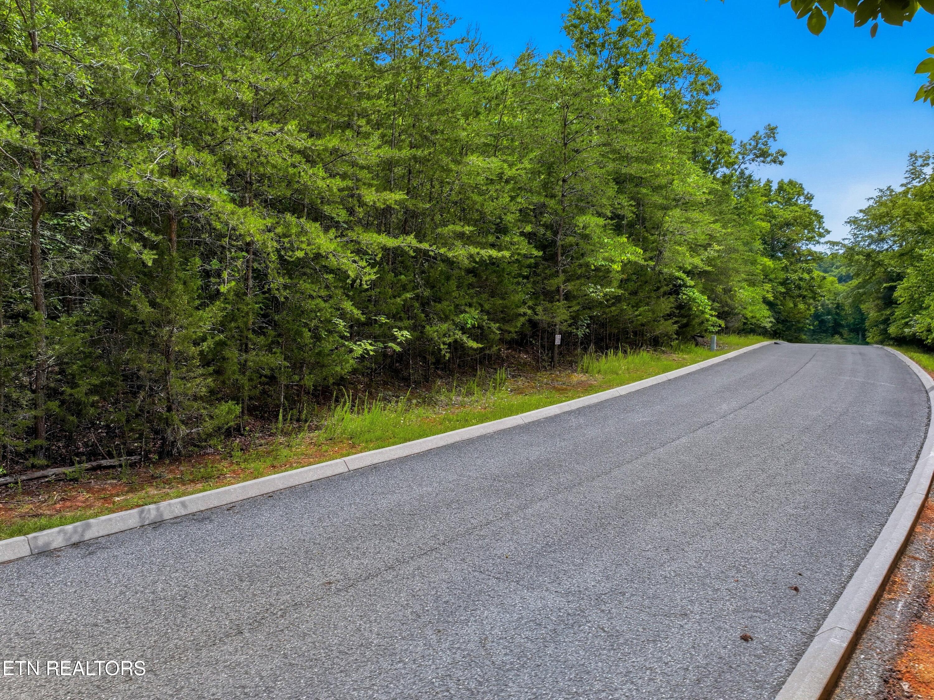 Lot 110 Eagles Ridge Tazewell, TN 37879 - Photo 5 of 17 005-EaglesRidge-Tazewell-TN-37879-SMALL