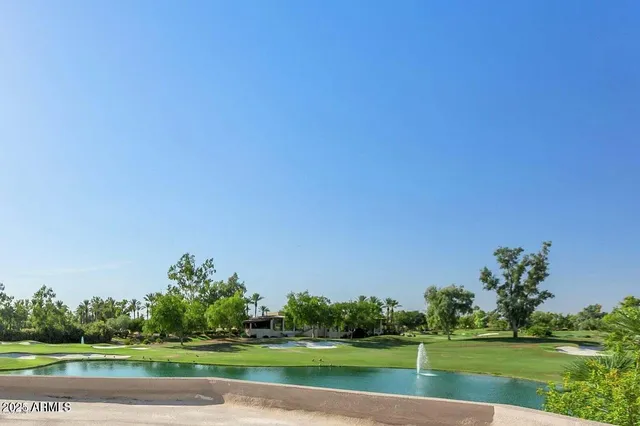 a view of a big room with a big yard and large trees