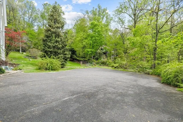 a view of a big yard with plants and large trees