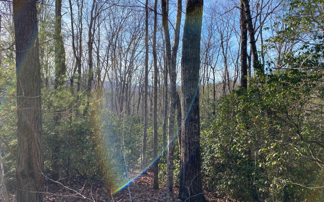 Lot15 Price Road Blue Ridge, GA 30513 - Photo 1 of 4 Main View