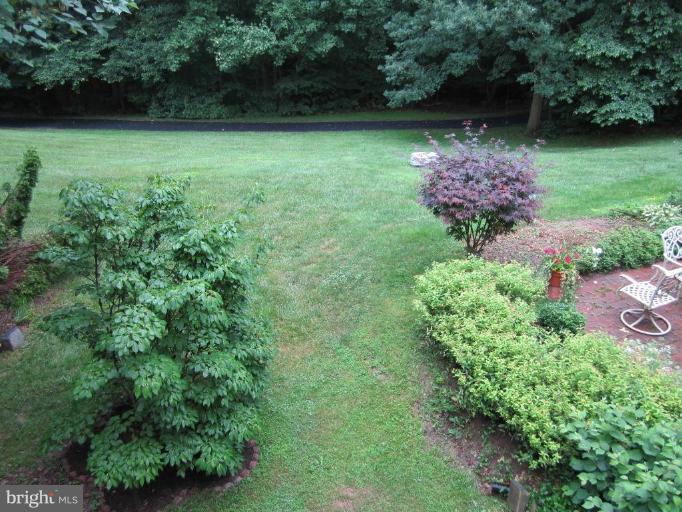 2183 Pond View Court Reston, VA 20191 - Photo 7 of 14 Amazing View from Back of TH