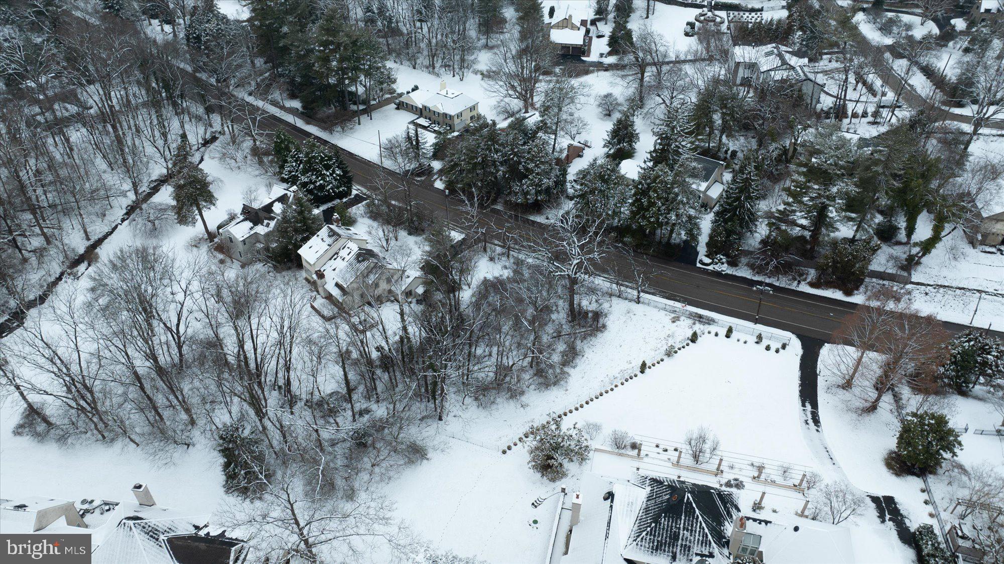 180 East Hillcrest Avenue Philadelphia, PA 19118 - Photo 11 of 32 a view of a yard with a tree