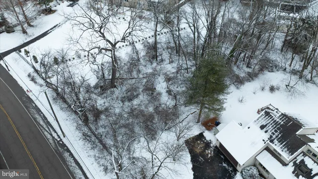 a view of a yard with trees