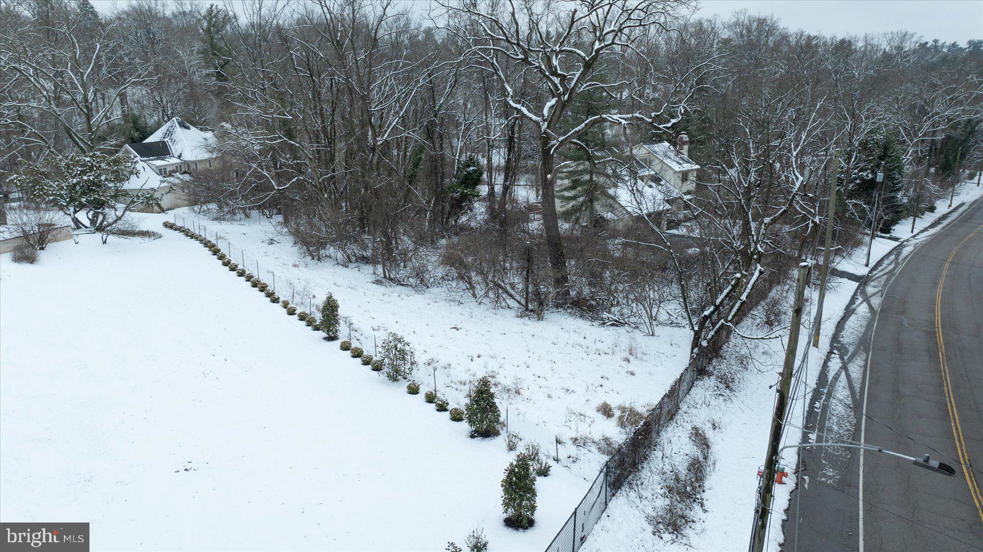 180 East Hillcrest Avenue Philadelphia, PA 19118 - Photo 19 of 32 a view of a dry yard with trees in the background