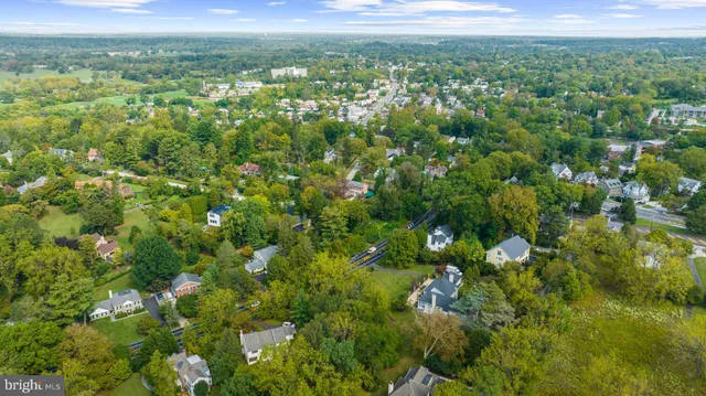 a view of a lush green forest with trees in the background