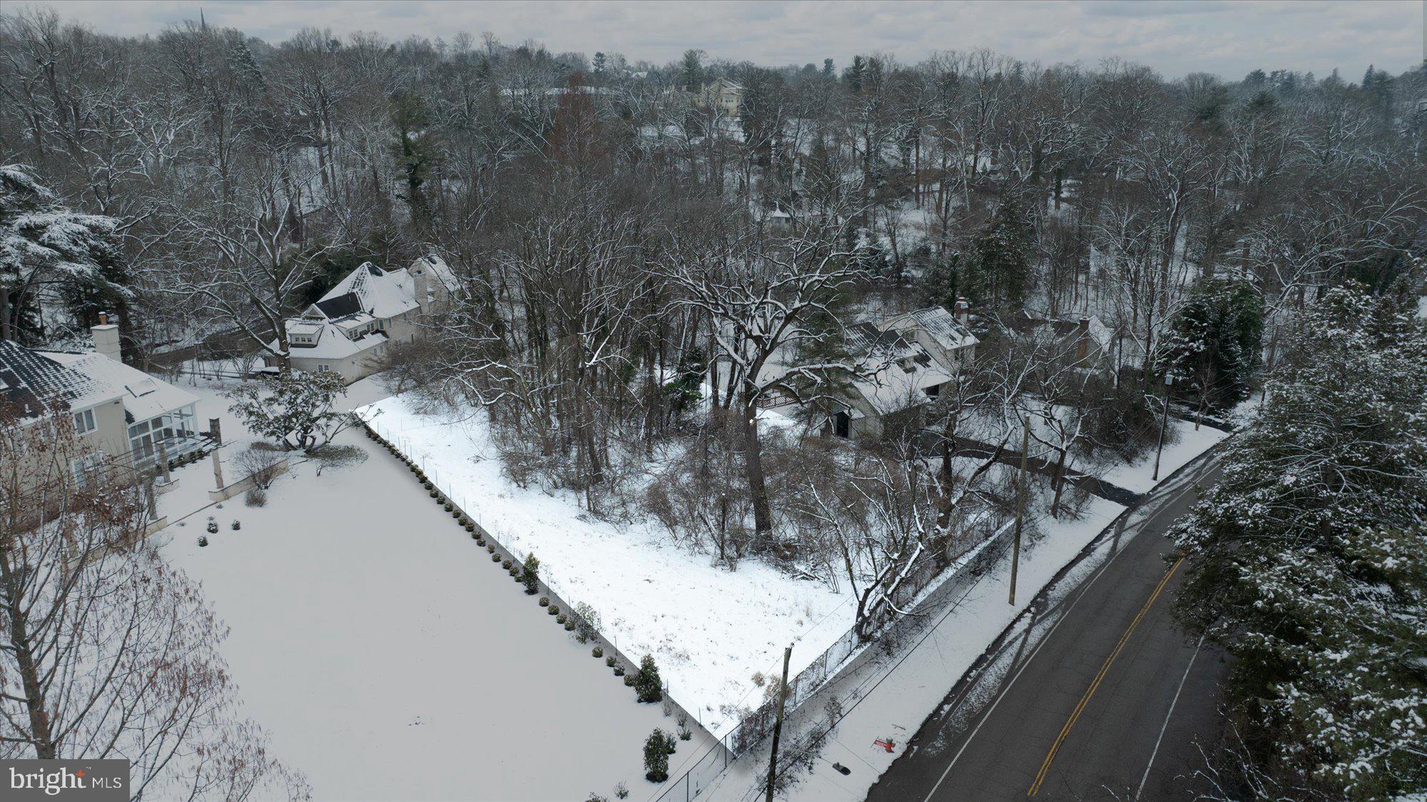 180 East Hillcrest Avenue Philadelphia, PA 19118 - Photo 2 of 32 a view of a forest with a tree