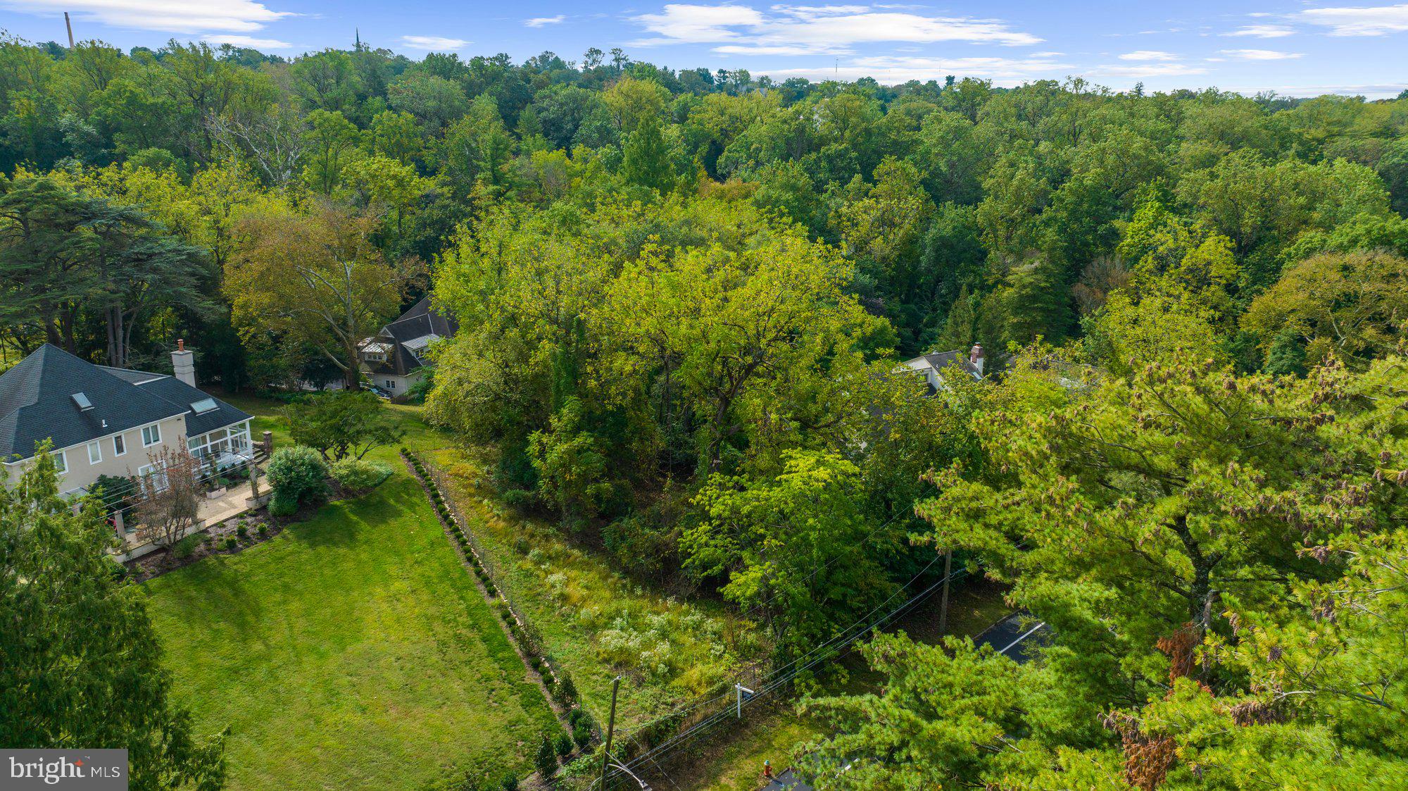 180 East Hillcrest Avenue Philadelphia, PA 19118 - Photo 21 of 32 a view of a lush green forest with trees in the background