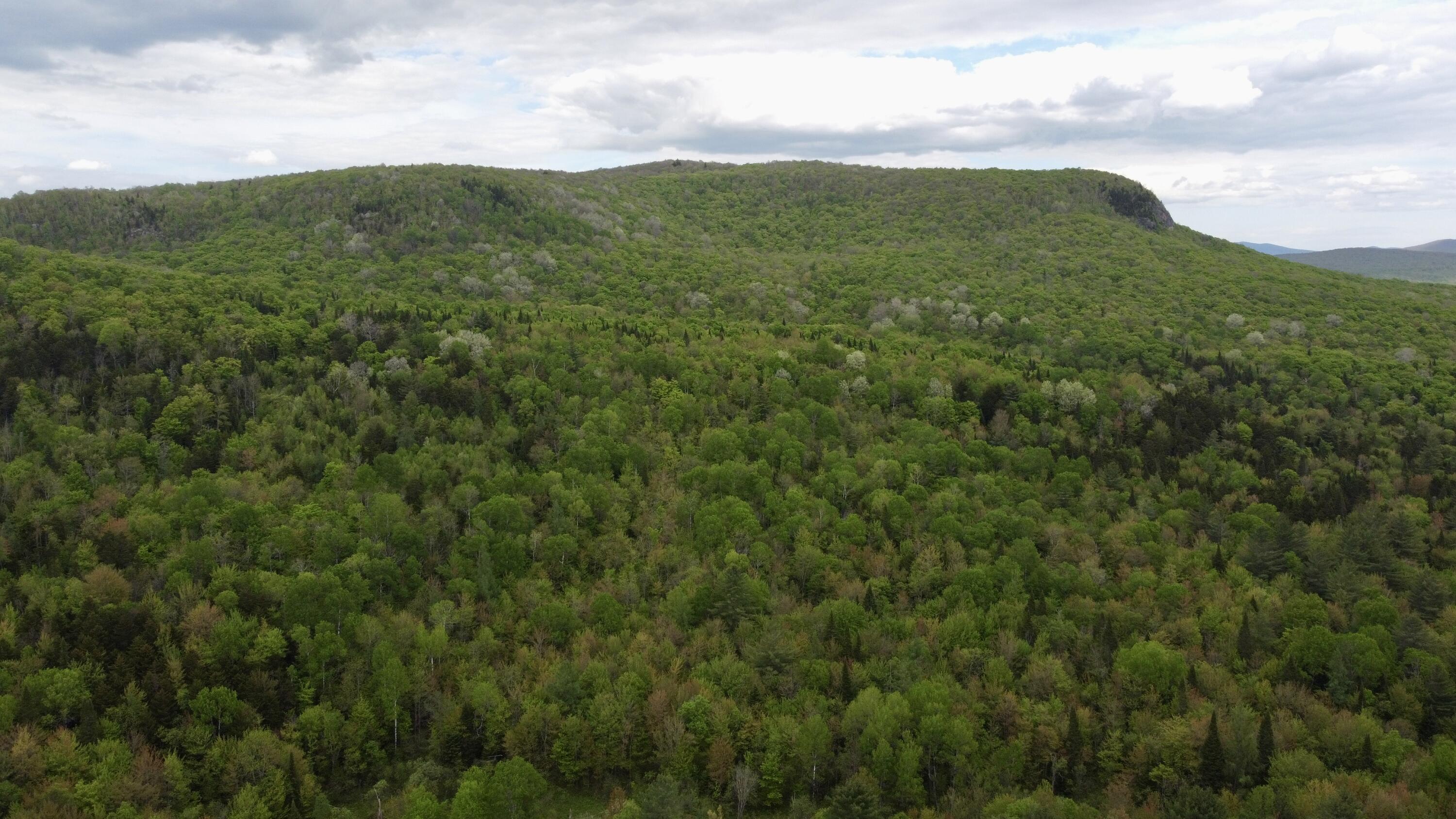 172 Brown-Benoit Road Owls Head, NY 12969 - Photo 27 of 28 Gallery Image 27