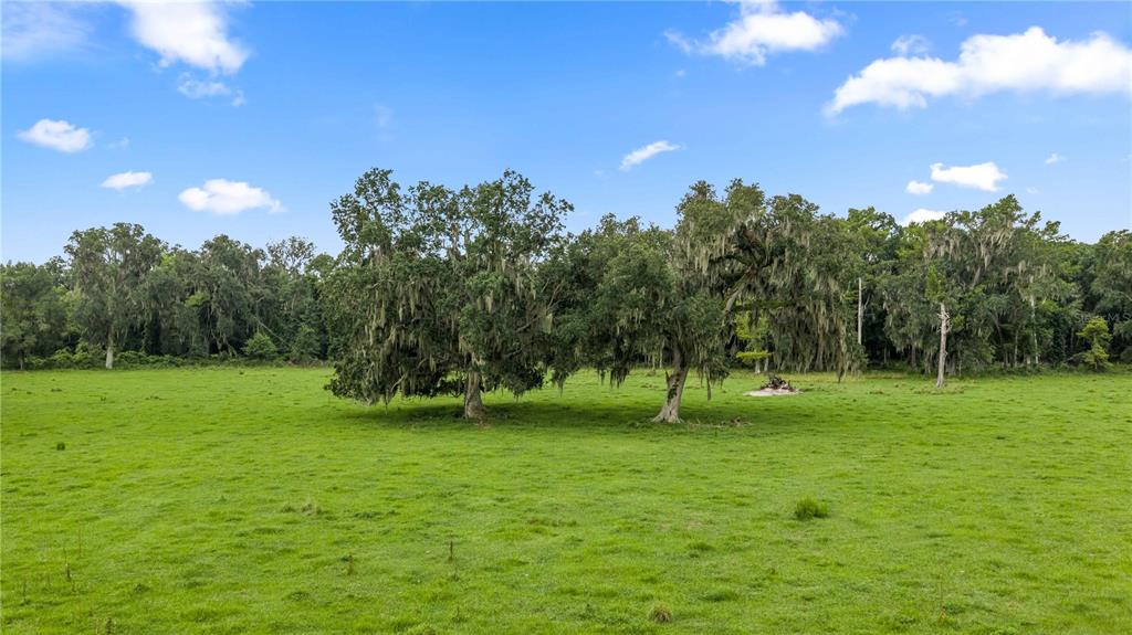 774 County Road Webster, FL 33597 - Photo 14 of 18 Gallery Image 14