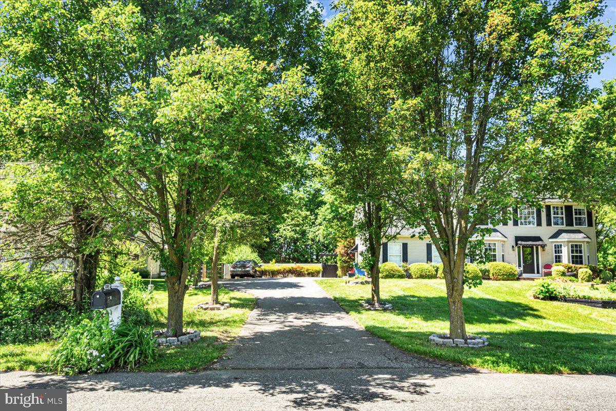 338 Canvasback Road Middletown, DE 19709 - Photo 5 of 47