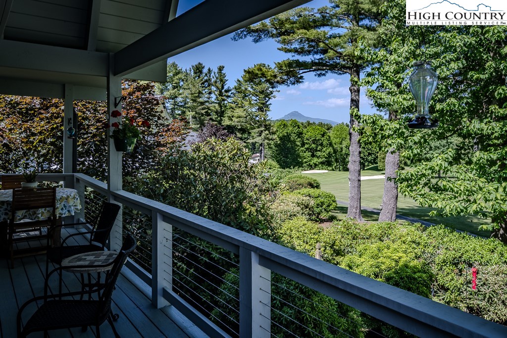 183 Rhododendron Loop Newland, NC 28657 - Photo 3 of 49 a view of a balcony with flower plants