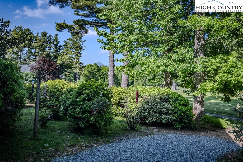 183 Rhododendron Loop Newland, NC 28657 - Photo 4 of 49 a view of a garden